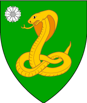 Arms Image